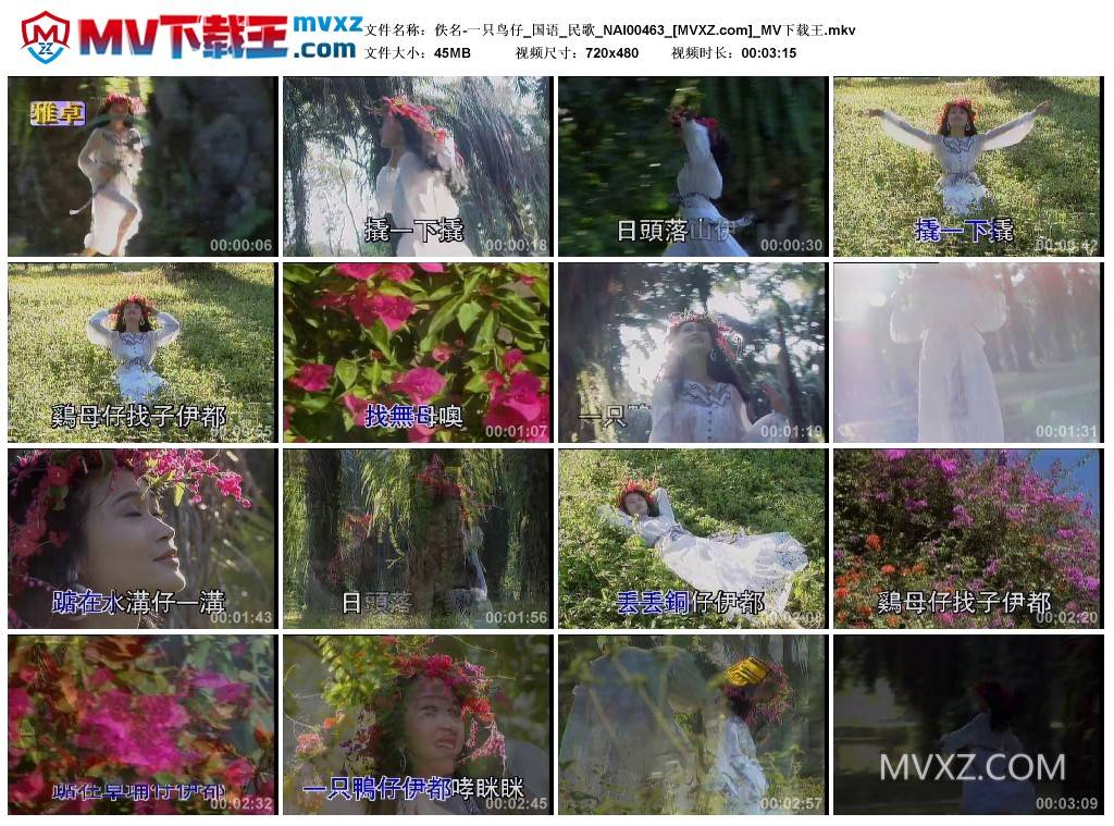 佚名-一只鸟仔_国语_民歌_NAI00463